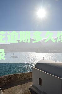 海尔产品逾期还款的处理方式及可能导致起诉的时间因素