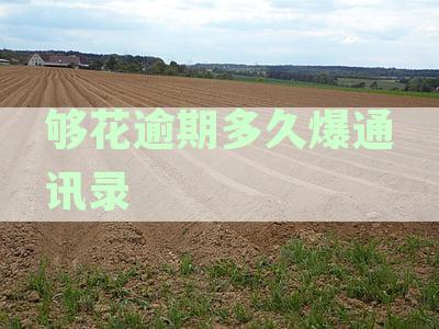 花呗逾期三天后，如何避免爆电话和信用受损的解决办法全面解析