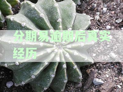 分期易逾期后果详解：如何避免逾期风险，处理逾期问题，以及信用修复策略