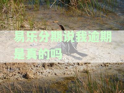 易乐分期逾期情况真实吗？如何判断自己是否逾期以及逾期后的相关处理方法