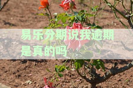 易乐分期：短信提示逾期真的吗？如何安全处理？