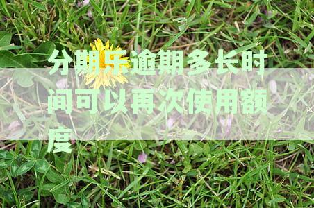 分期乐逾期还款后，再次借款的时间限制及相关影响全面解析