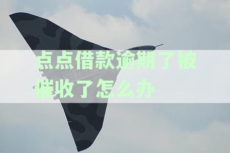 点点借款逾期信息的真实性：会被起诉吗？在众安平台借款的我该怎么办？