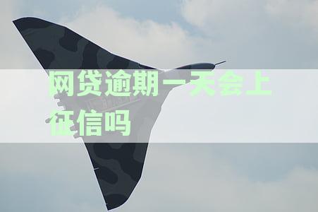 一天内未偿还网贷是否会影响征信？会不会上征信？
