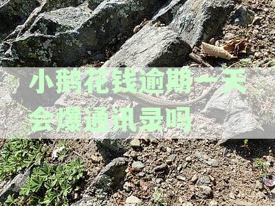 小鹅花钱逾期一天会影响信用吗？逾期三天如何处理？逾期几天会有后果吗？