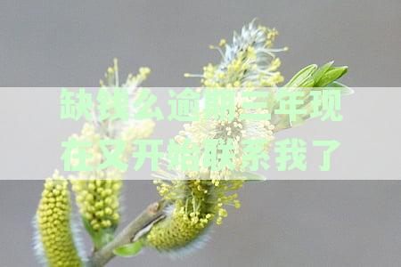 逾期上征信与资金问题：全面解答用户疑虑与解决方案