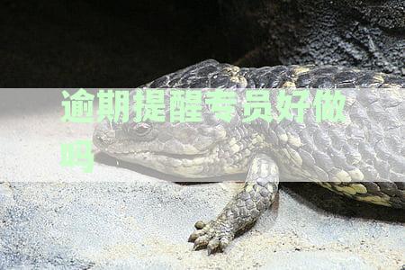 逾期提醒服务实难度、效果及可能遇到的问题全面解析：用户必读指南