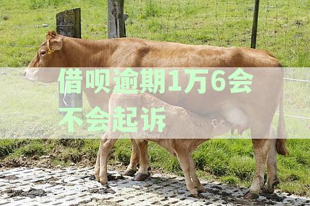 借呗逾期一万会起诉吗？已还2000多，逾期一万多多少天会被起诉？