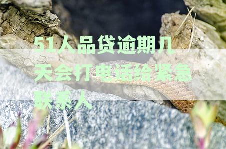 51人品贷逾期多久会上法庭及影响通讯录？