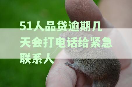 51人品贷逾期长达3年，收到起诉电话后该如何应对？
