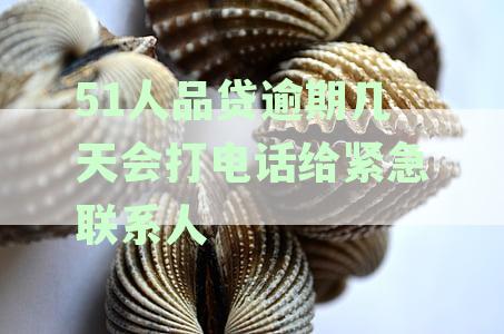 51人品贷逾期还款怎么办？逾期后果、解决方案一览无余！