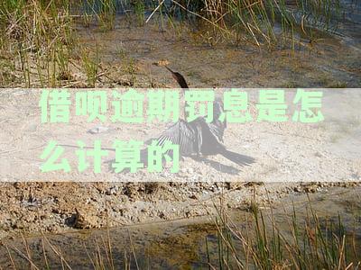 新借呗逾期罚息计算方法详细解析，让您全面了解逾期后果及应对措