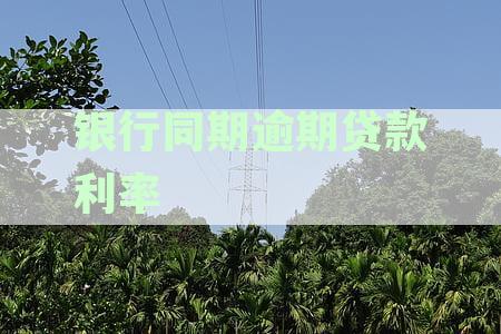 中国人民银行发布的各银行同期逾期贷款利率表详解与计算方法