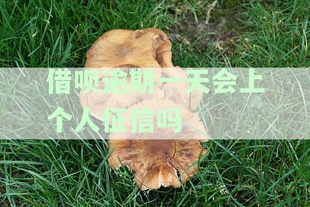 借呗逾期一天会上征信记录吗？怎么消除不良影响？