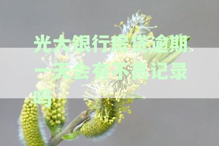 一天内还款光大银行房贷：信用影响的微妙变化