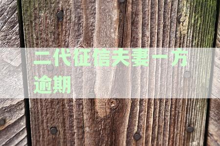 二代征信系统对夫妻共同负债的影响分析：信息共享与处理新模式