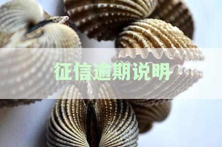逾期信用卡还款说明：如何撰写征信报告中的个人信用情况