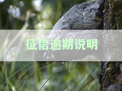 信用卡逾期无恶意记录的开具证明指南：如何避免逾期与理解征信