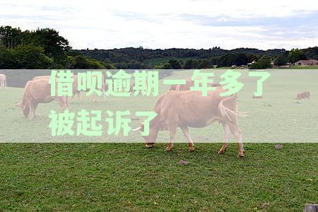 逾期一年多的借呗是否会面临法律诉讼？上海的催收电话令人烦恼