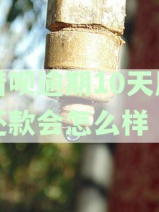 借呗逾期10天后还款会怎么样