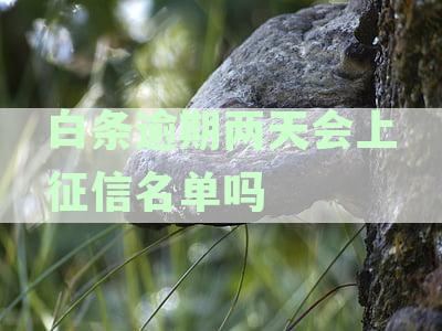 逾期两天的后果与影响详细解析