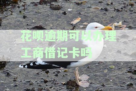 花呗逾期可以办理工商借记卡吗