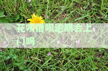 逾期还款多久会被立案？逾期费用计算方式及影响全面解析