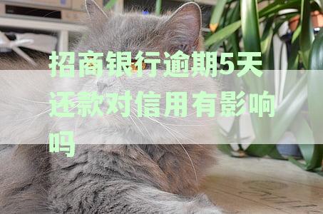 招商银行逾期5天还款对信用有影响吗怎么办：逾期五天后能否提前取出资金？