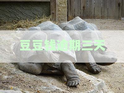 豆豆钱逾期三天：是否会联系联系人并产生什么后果？如何避免逾期影响？