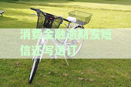 消费金融警示：短信催收逾期问题严重，我收到了意外的困扰