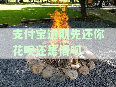 花呗与借呗逾期还款难题：如何选择优先解决方案？