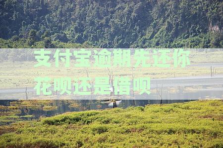 支付宝逾期了优先还借呗：解决方法与顺序