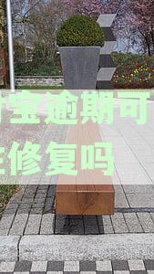 支付宝逾期修复：一次性还款是否可行？安全性如何保障？