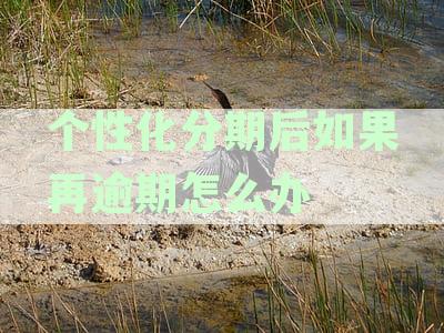 个性化分期后再次逾期的处理方法探讨：贴吧网友分享经验