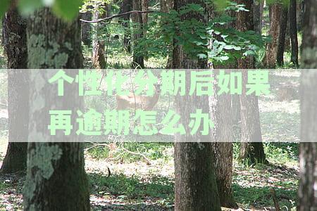信用卡个性化分期二次逾期后的解决策略与建议