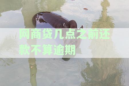 网商贷还款时间及方式详解：了解不同还款时间节点和操作步骤