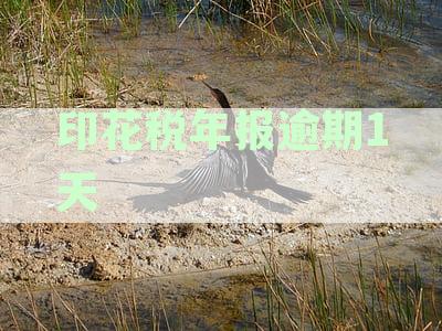 逾期申报印花税：罚款、滞纳金及相关后果全解析，如何避免？