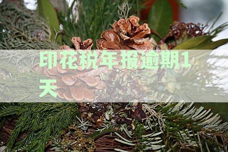 印花税逾期申报罚款规定及处理方式全解析，防止不必要的损失！