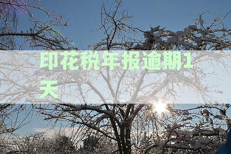 印花税逾期未报怎么办：罚款、滞纳金处理及申报流程