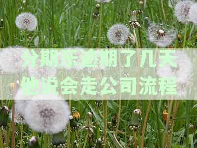分期乐逾期了几天他说会走公司流程