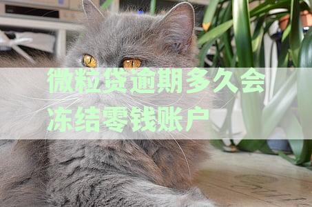 微粒贷逾期多久自动扣银行卡零钱：完整解答与注意事
