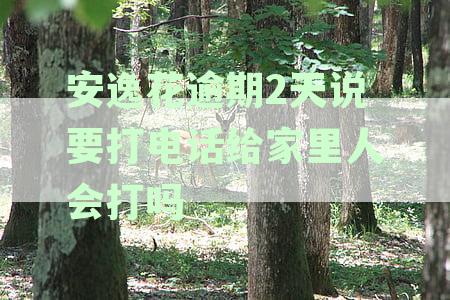 安逸花逾期两天后的处理方式：是否会联系家人以及如何解决逾期问题