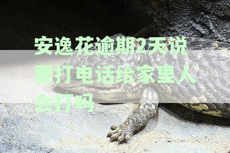 安逸花逾期两三天会打电话给通讯录吗：探讨逾期后是否联系紧急联系人