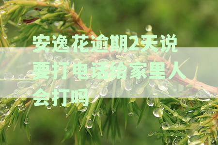 安逸花逾期多久打电话催收？