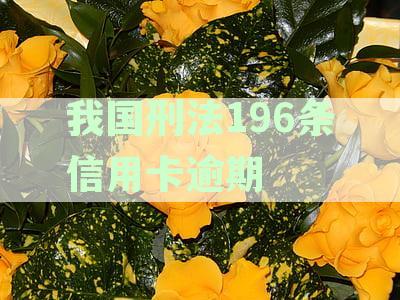 信用卡逾期时间规定：我国刑法第196条的解读与法律问答