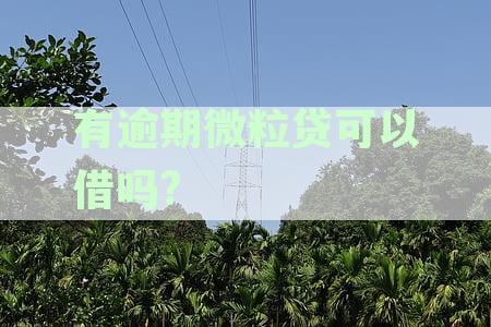 新关于微粒贷逾期后是否还能开通的详细资讯分析