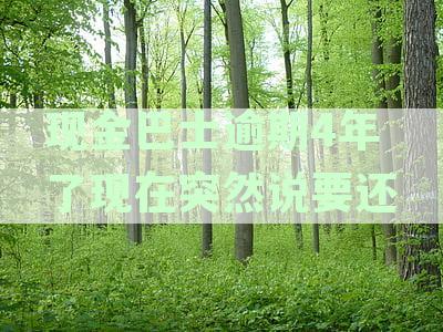 四年逾期的现金巴士于决定还款，突然的承诺引发关注