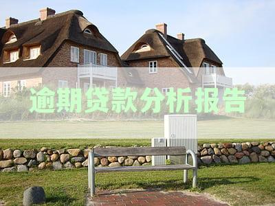 逾期贷款状况深度分析报告：揭示客户信用风险与银行应对策略