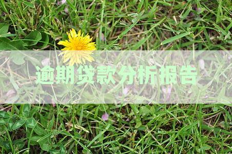 全面逾期贷款分析报告书：探讨原因、影响与解决方案