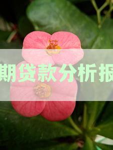 贷款逾期情况分析报告：全面解读与应对策略